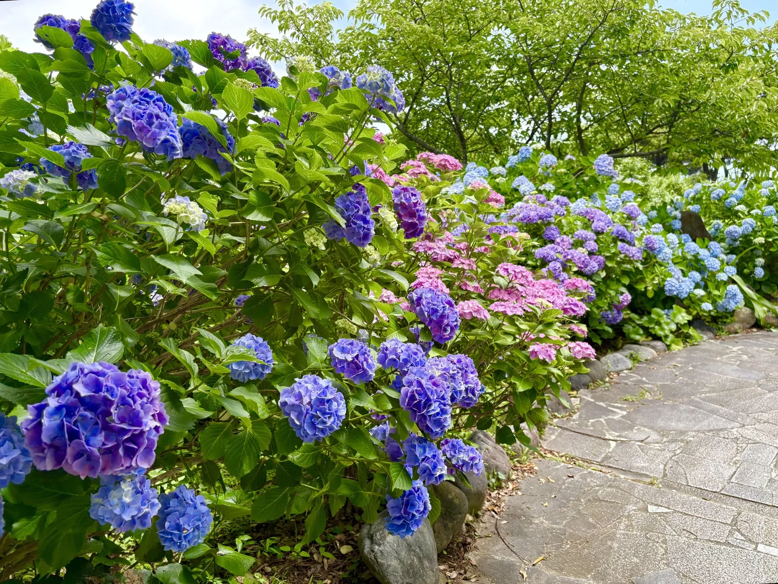 Shimoda City Tourism Association