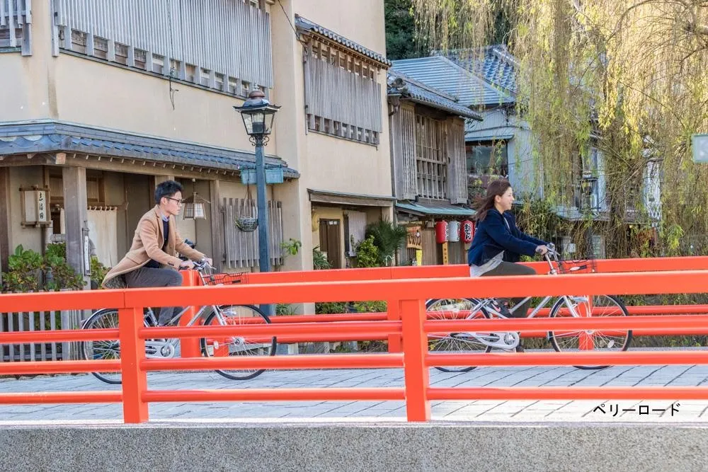 Bicycle rental