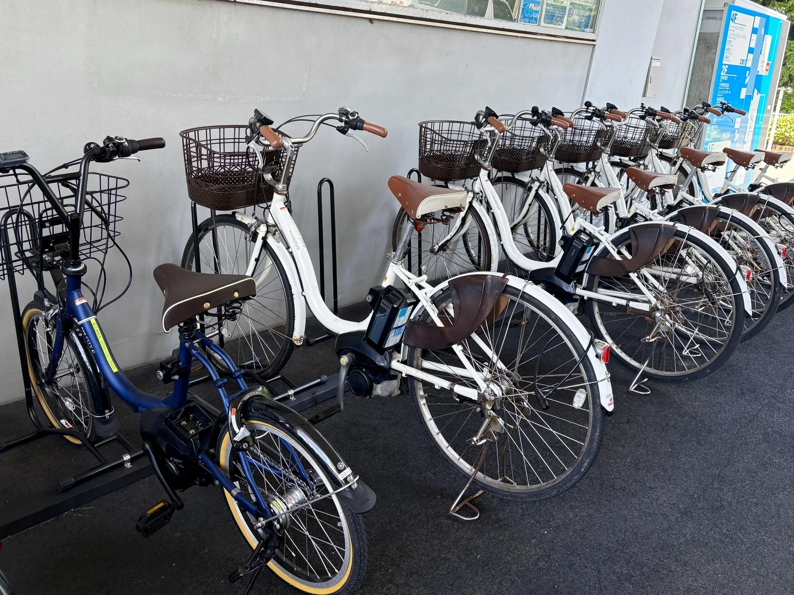 Shimoda Tourist Association
