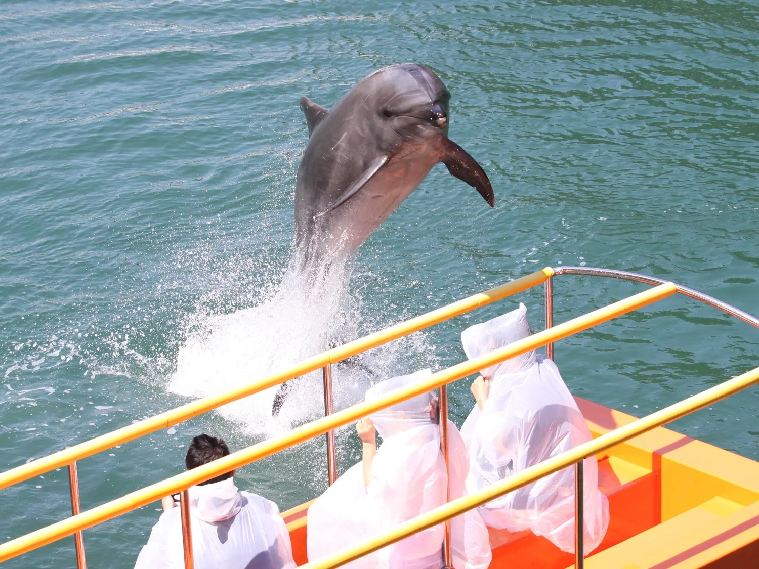 Shimoda Sea Aquarium