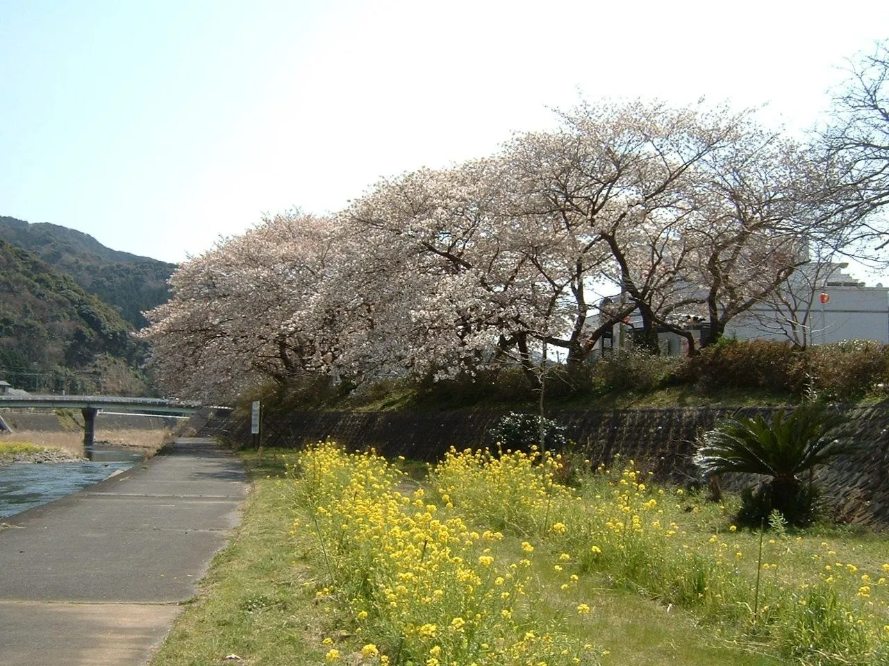 Okichi-ga-fuchi