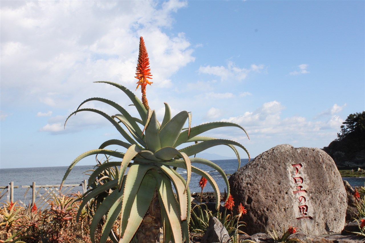 Aloe no Sato